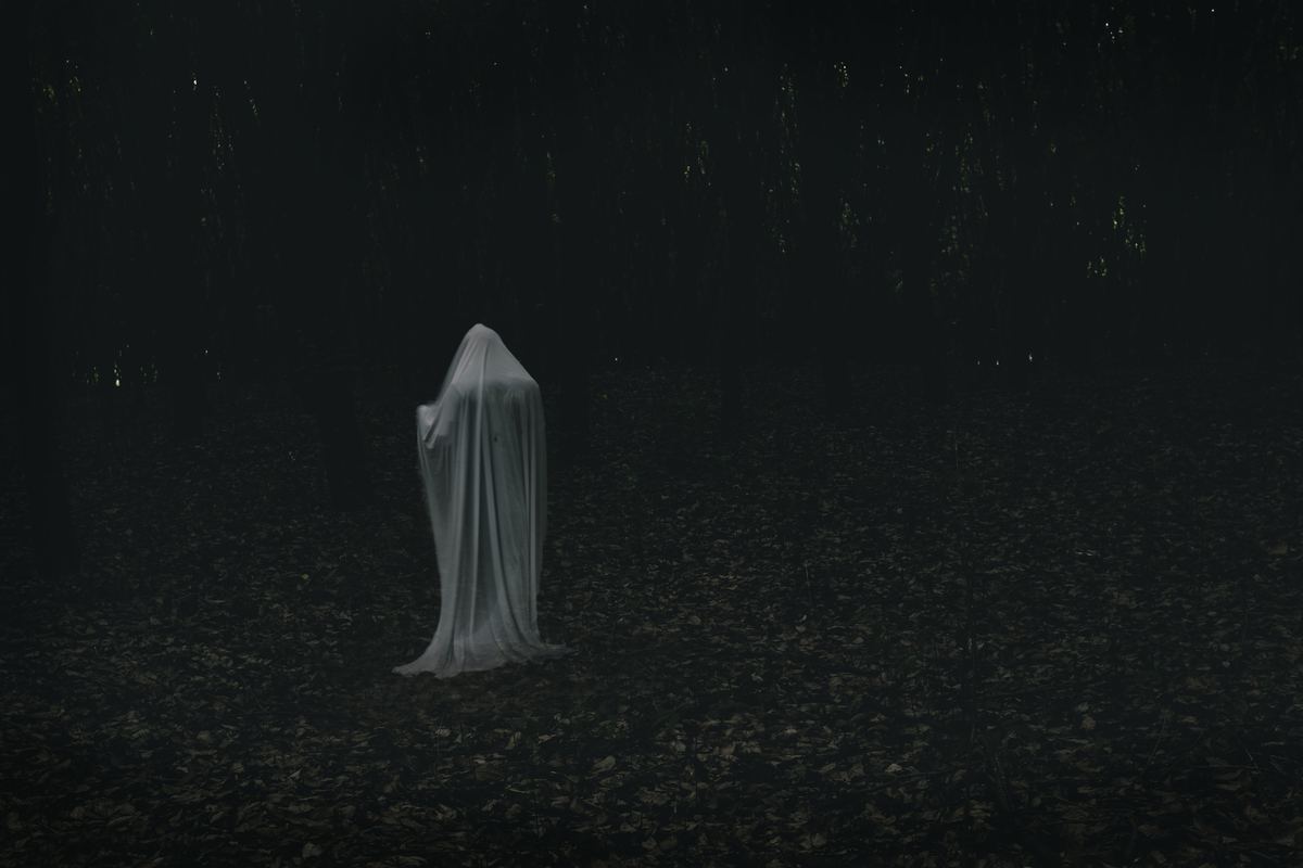 Ghostly figure in a dark forest — Wraith Seeker cover